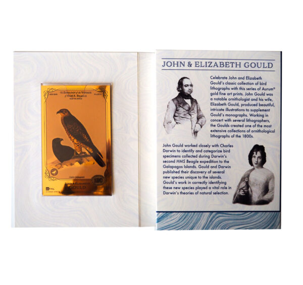 Oronote oro puro 999.9 ‰ The John & Elisabeth Gould Collection The Zoology of the Voyage of H.M.S. Beagle Vol.01 - immagine 4