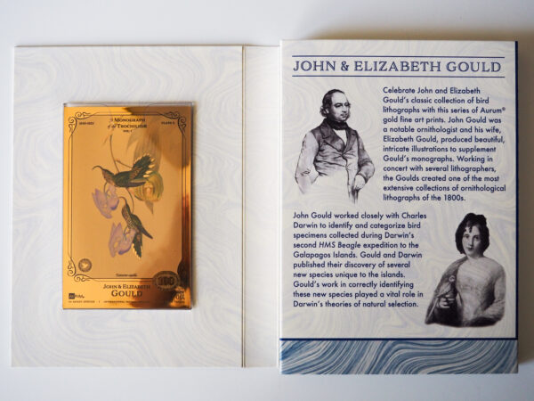 Oronote oro puro 999.9 ‰ The John & Elisabeth Gould Collection A Monograph of the Trochilidae Vol.01 - immagine 2