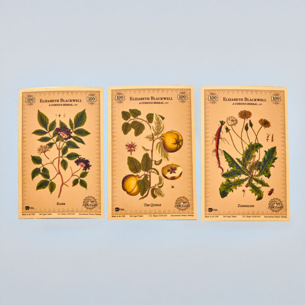 Oronote oro puro 999.9 ‰ Stampa Botanica in oro dedicata a Elizabeth Blackwell - immagine 5