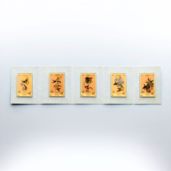 Oronote oro puro 999.9 ‰ The John & Elisabeth Gould Collection A Monograph of the Trochilidae Vol.01 - immagine 6