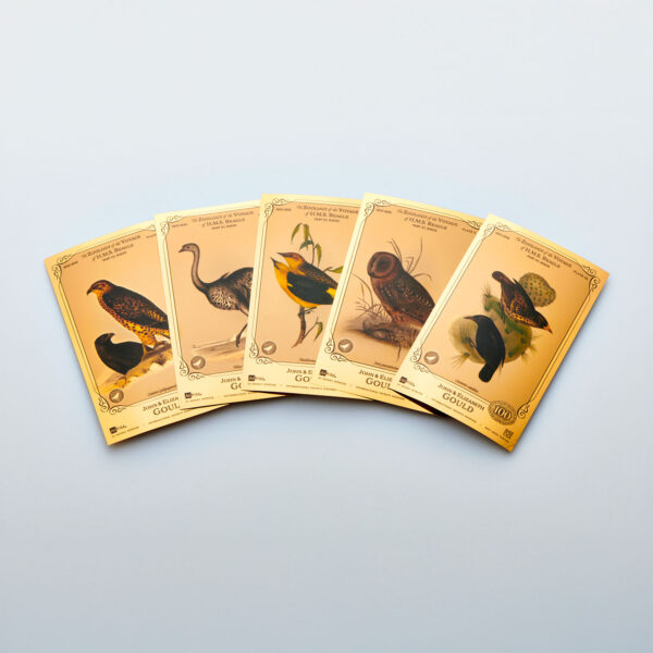 Oronote oro puro 999.9 ‰ The John & Elisabeth Gould Collection The Zoology of the Voyage of H.M.S. Beagle Vol.01 - immagine 7